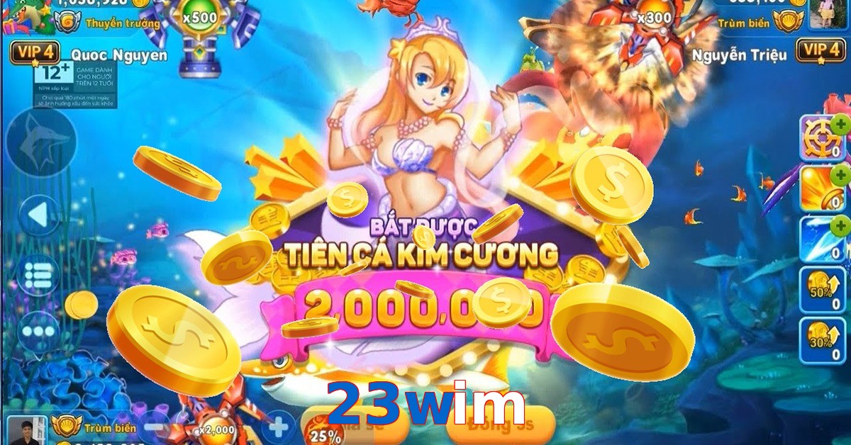 23wim